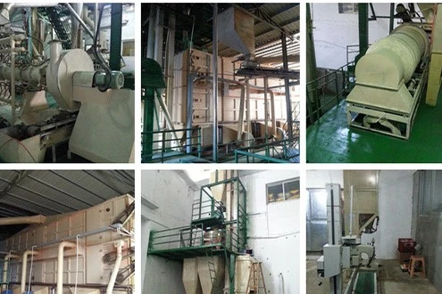 Large Production Capacity Large Production Capacity