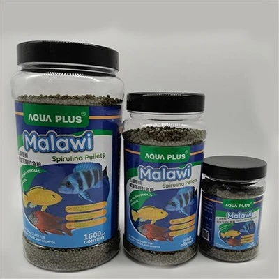 Einstakur Malaví cichlid fiskamatur